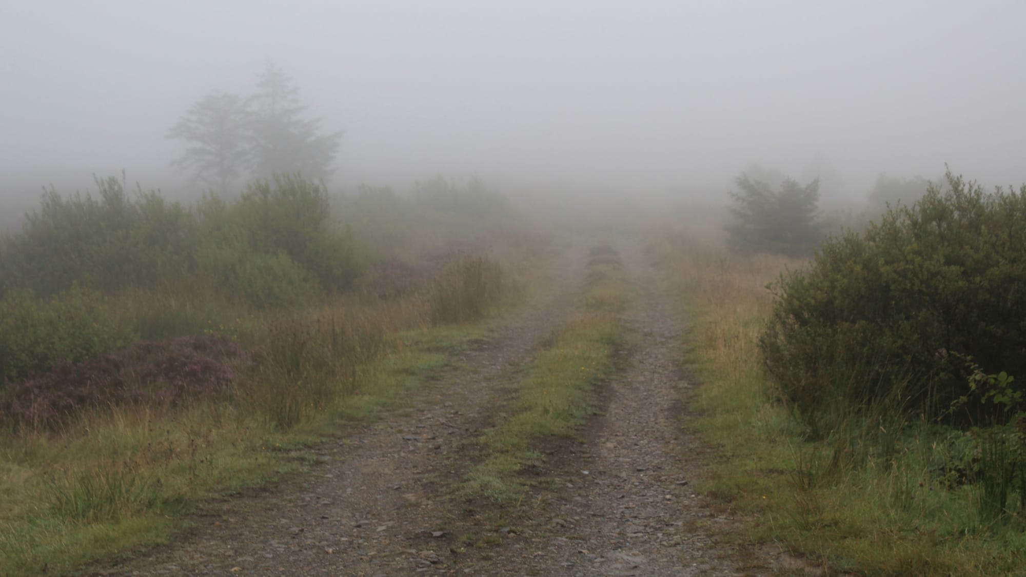 The Silence Between Fields Post feature image